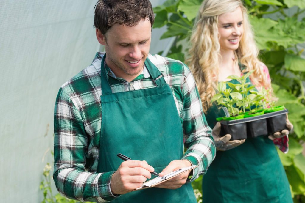 Men and women caring for the plants